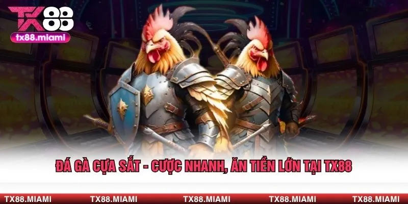Đá Gà Cựa Sắt - Cược Nhanh, Ăn Tiền Lớn Tại TX88 